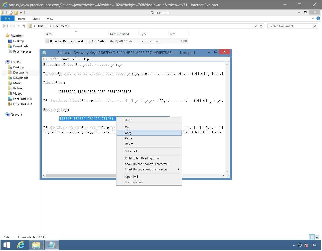 Figure 1.60 Screenshot of the PLABWIN810 desktop