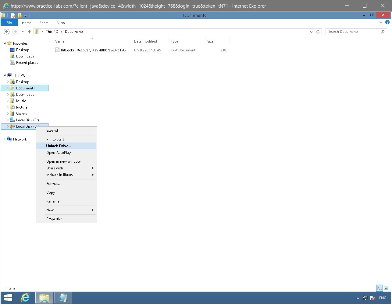 Figure 1.61 Screenshot of the PLABWIN810 desktop