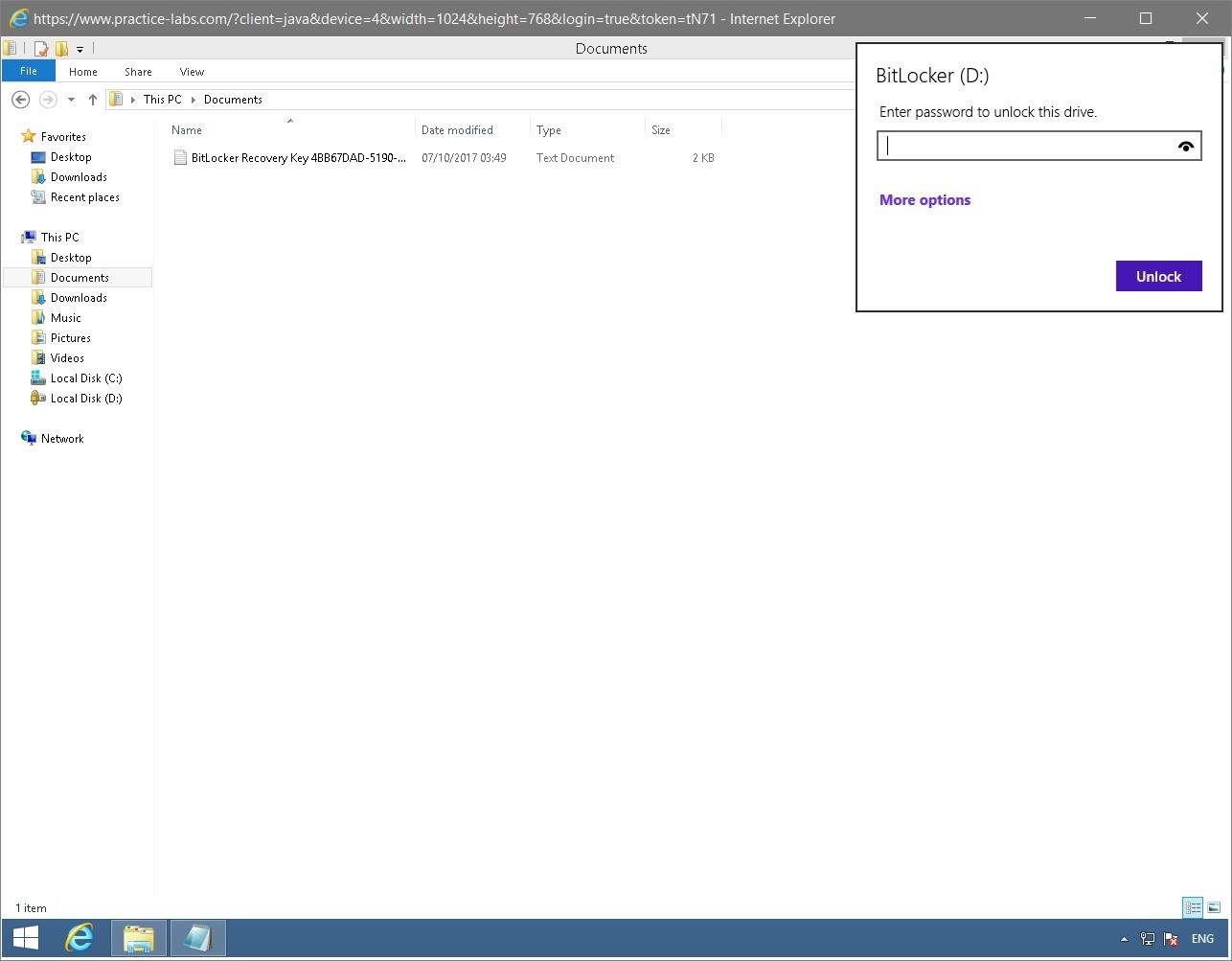 Figure 1.62 Screenshot of the PLABWIN810 desktop