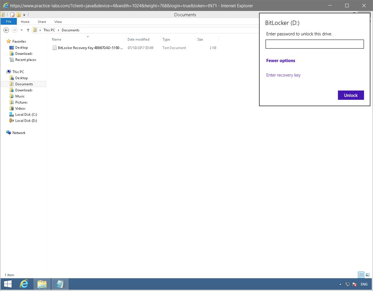 Figure 1.63 Screenshot of the PLABWIN810 desktop