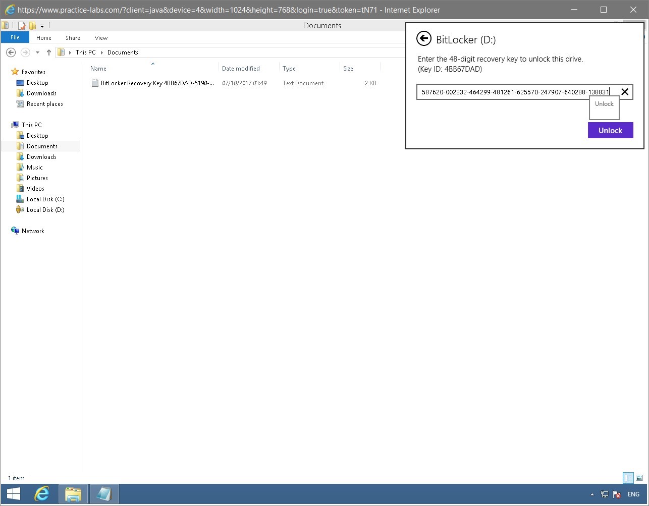 Figure 1.64 Screenshot of the PLABWIN810 desktop