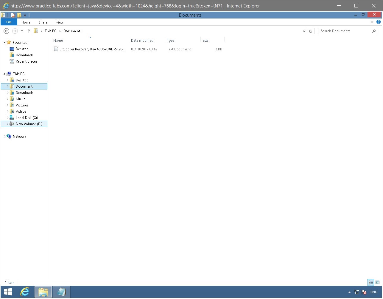 Figure 1.65 Screenshot of the PLABWIN810 desktop