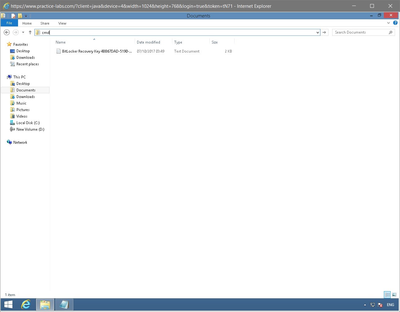 Figure 1.66 Screenshot of the PLABWIN810 desktop