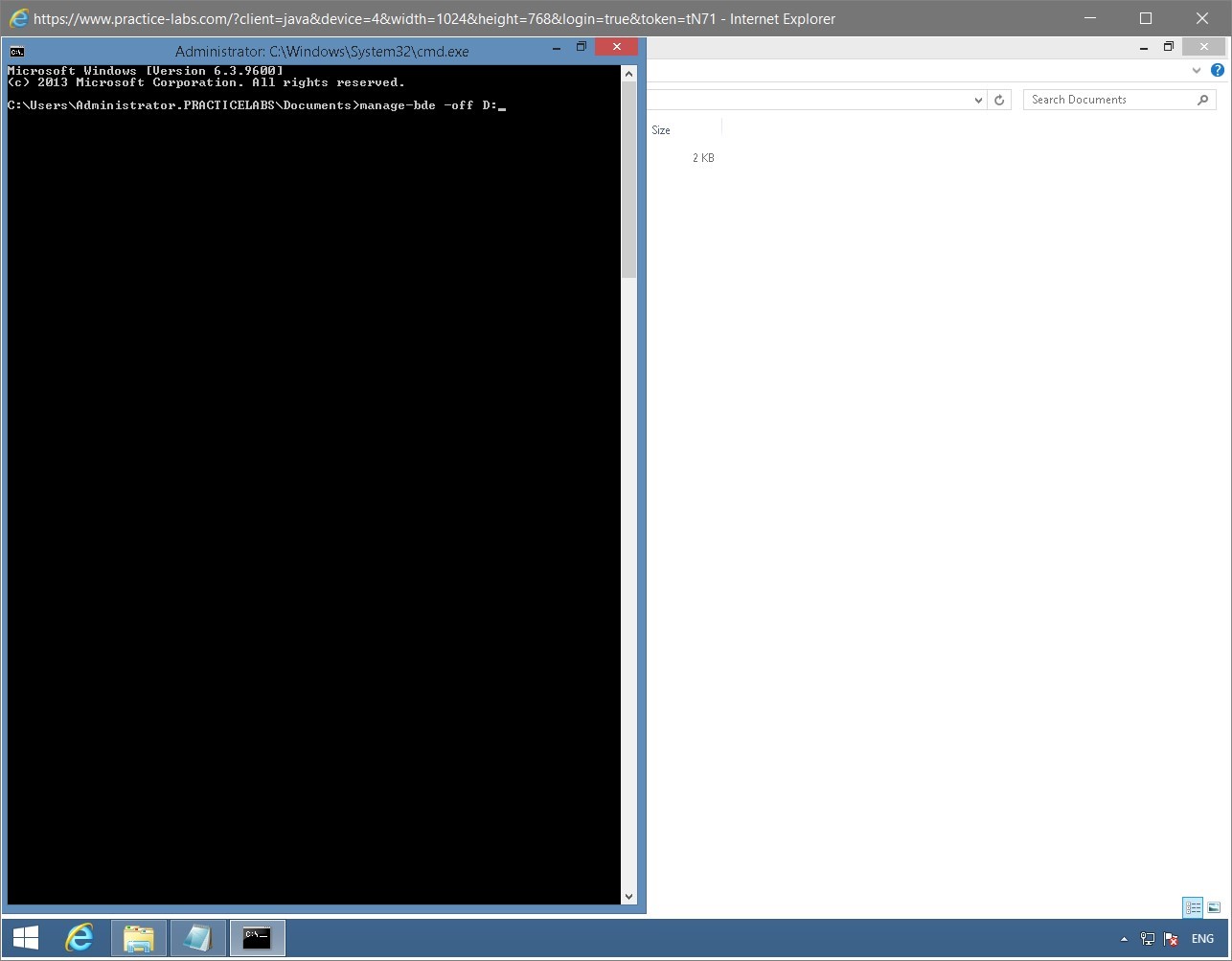 Figure 1.67 Screenshot of the PLABWIN810 desktop
