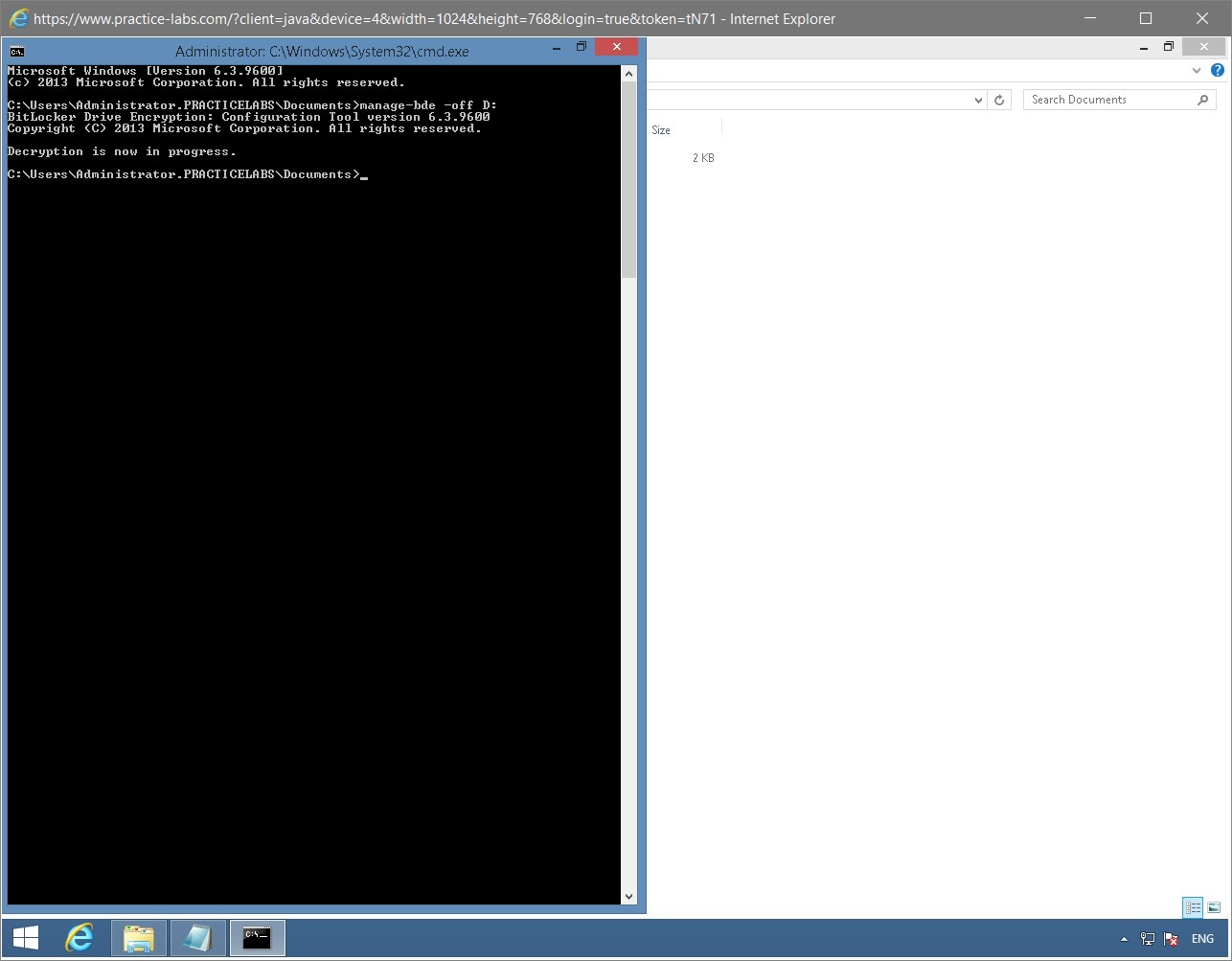 Figure 1.68 Screenshot of the PLABWIN810 desktop
