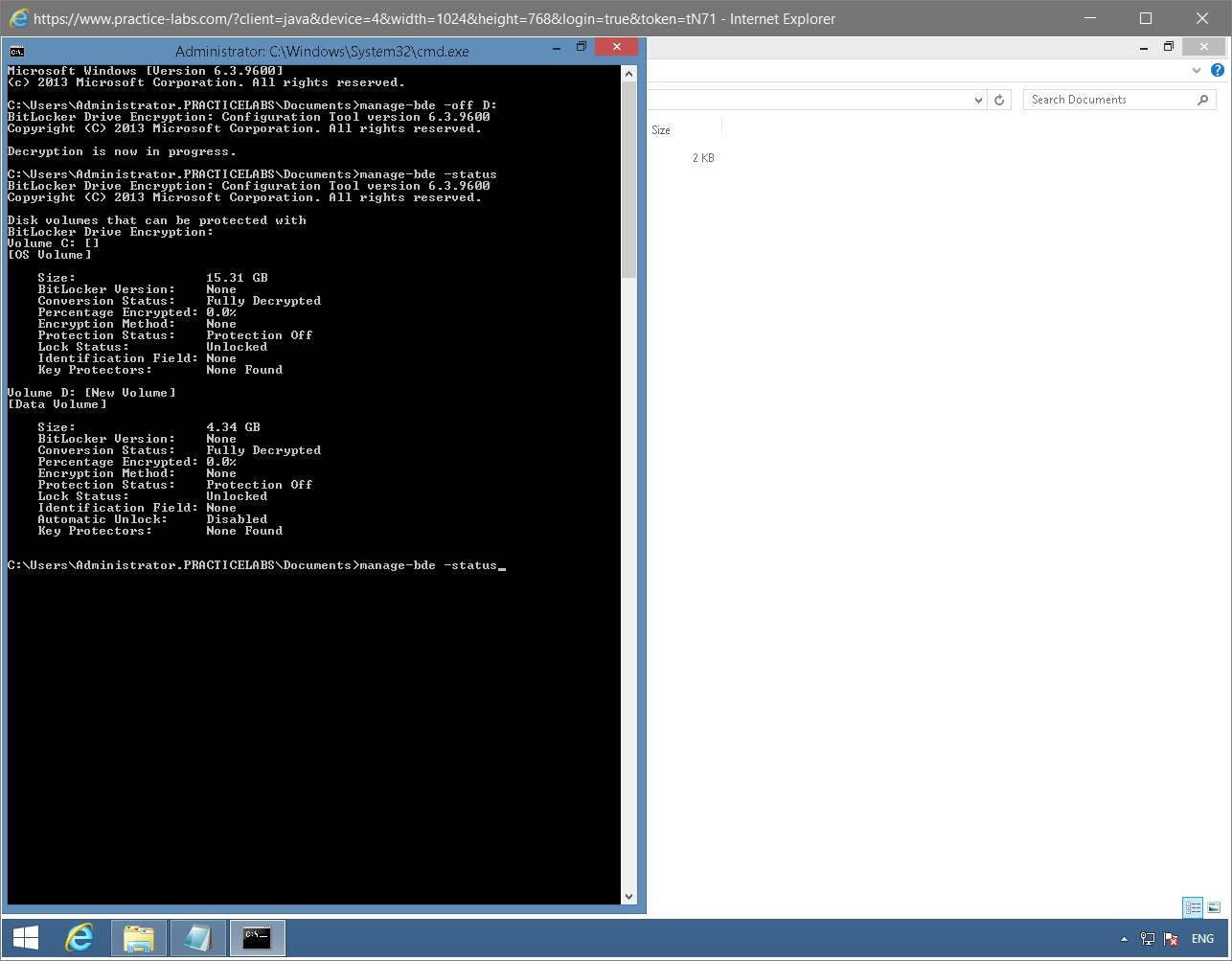 Figure 1.69 Screenshot of the PLABWIN810 desktop