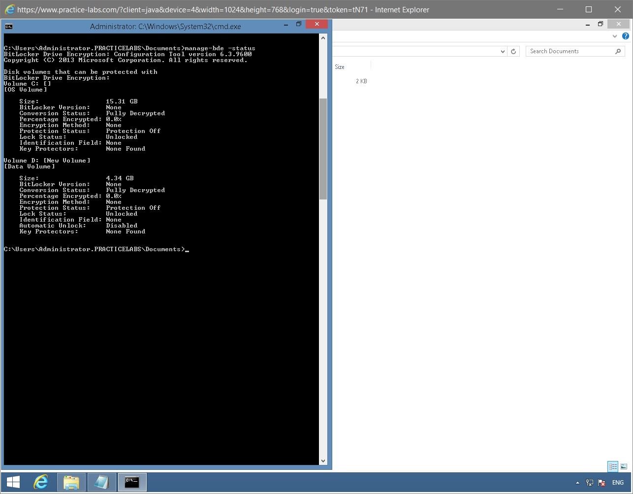 Figure 1.70 Screenshot of the PLABWIN810 desktop