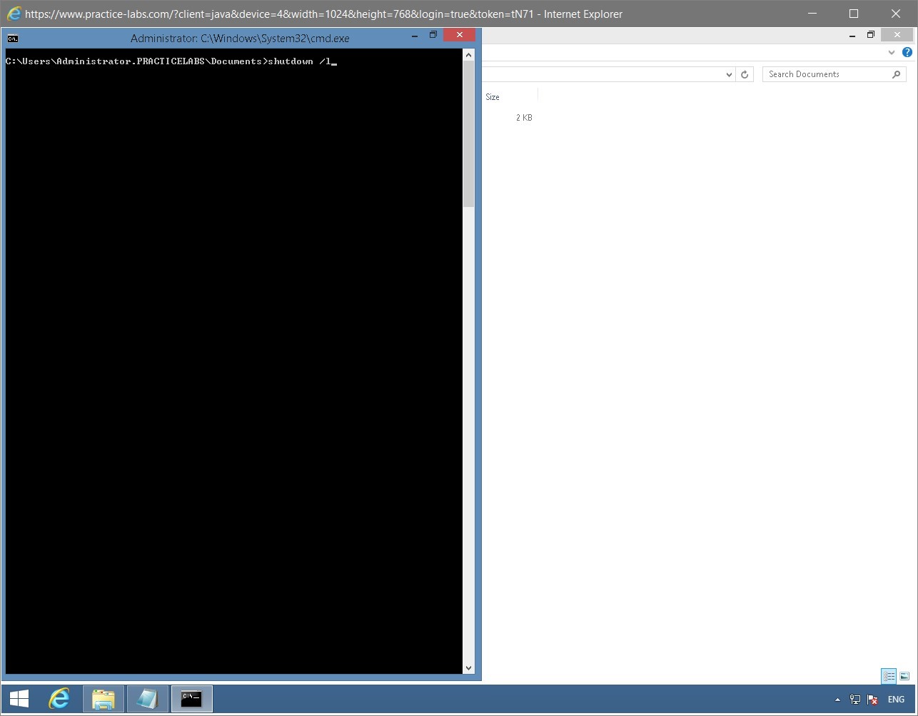 Figure 1.71 Screenshot of the PLABWIN810 desktop