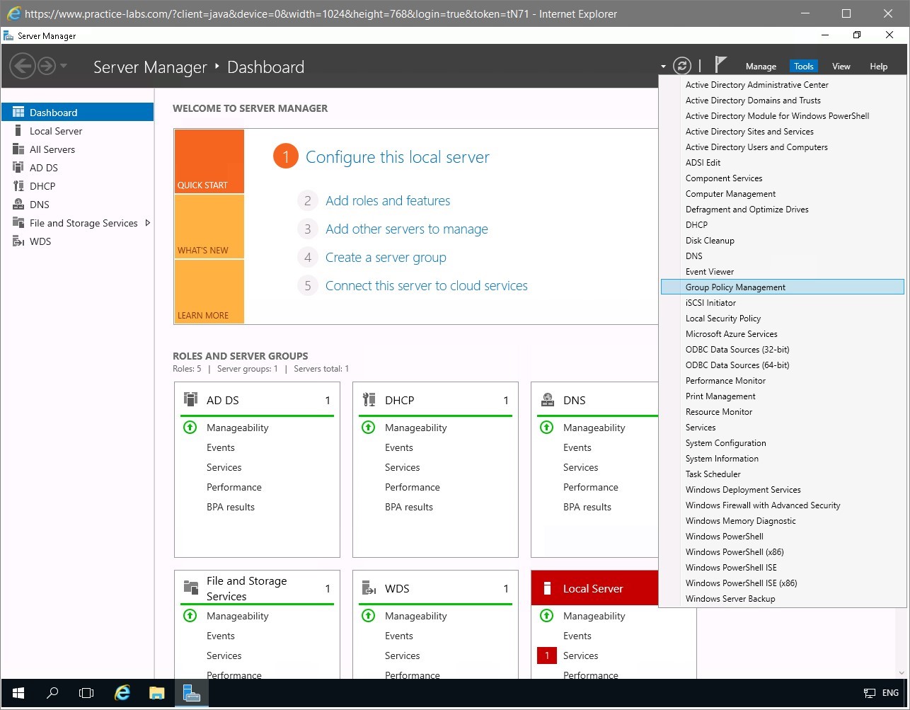 Figure 2.1 Screenshot of the PLABDC01 desktop