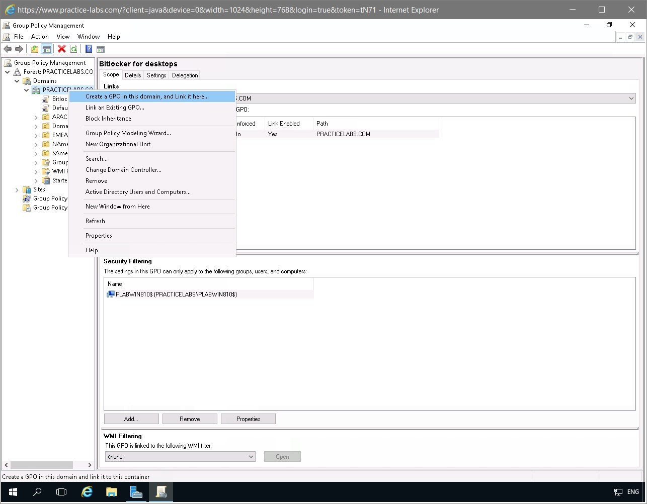 Figure 2.2 Screenshot of the PLABDC01 desktop