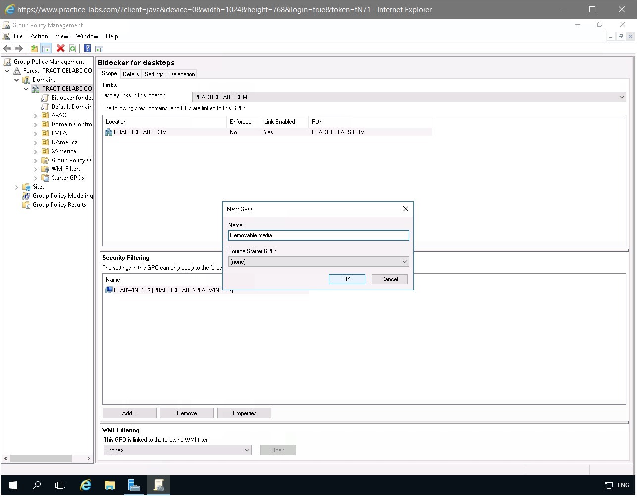 Figure 2.3 Screenshot of the PLABDC01 desktop