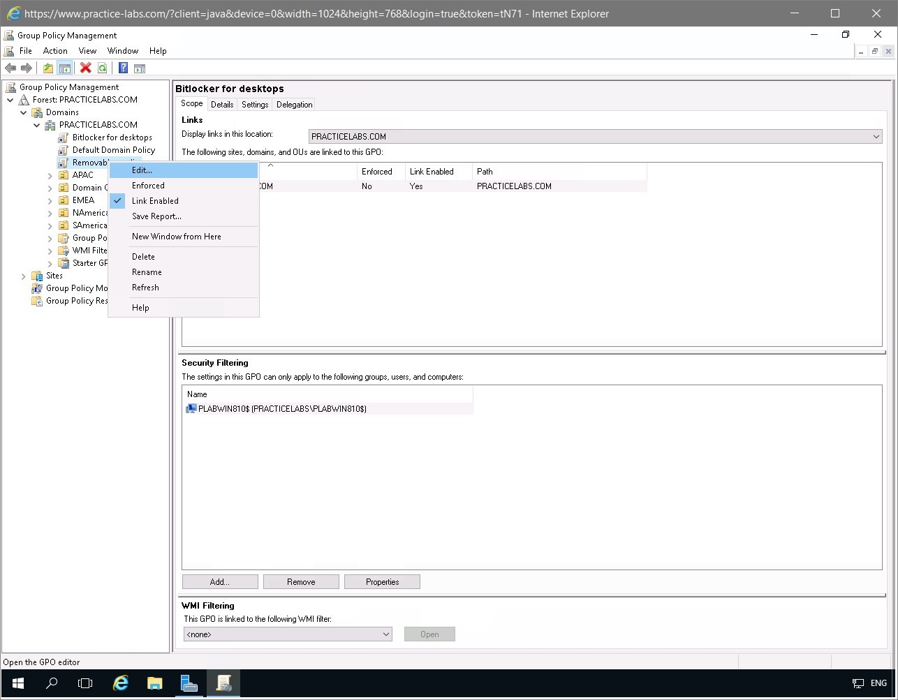 Figure 2.4 Screenshot of the PLABDC01 desktop
