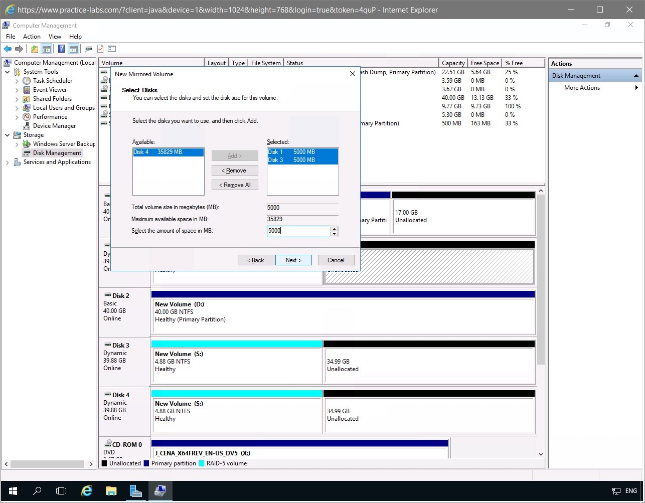 Figure 1.19 Screenshot of the PLABDM01 desktop