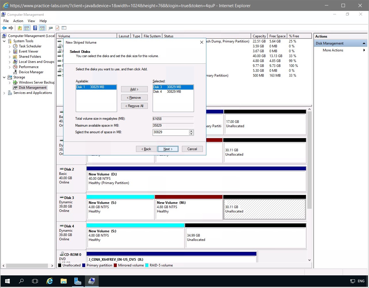 Figure 1.28 Screenshot of the PLABDM01 desktop
