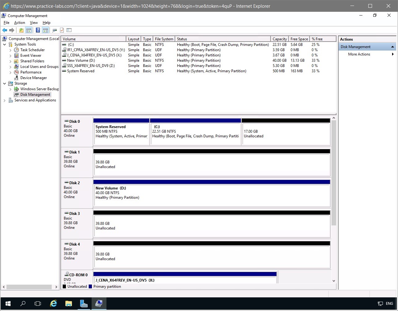 Figure 1.3 Screenshot of the PLABDM01 desktop