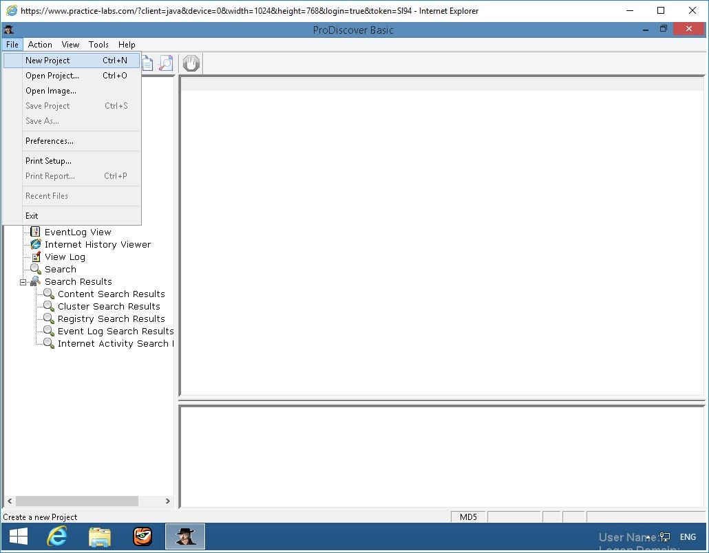 Figure 2.3 Screenshot of PLABWIN810