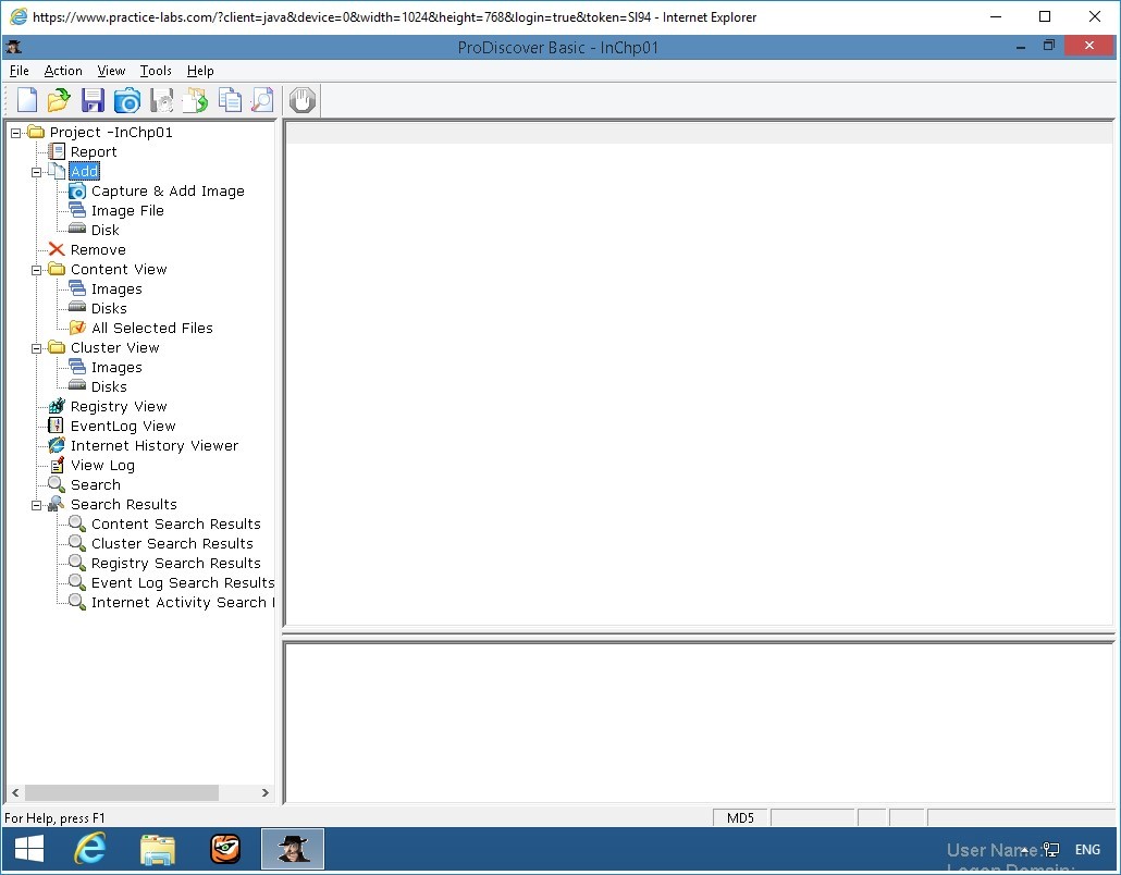 Figure 2.5 Screenshot of PLABWIN810