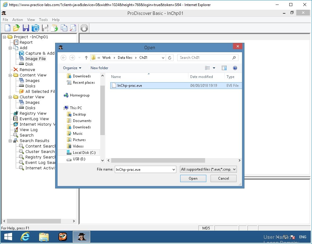 Figure 2.6 Screenshot of PLABWIN810