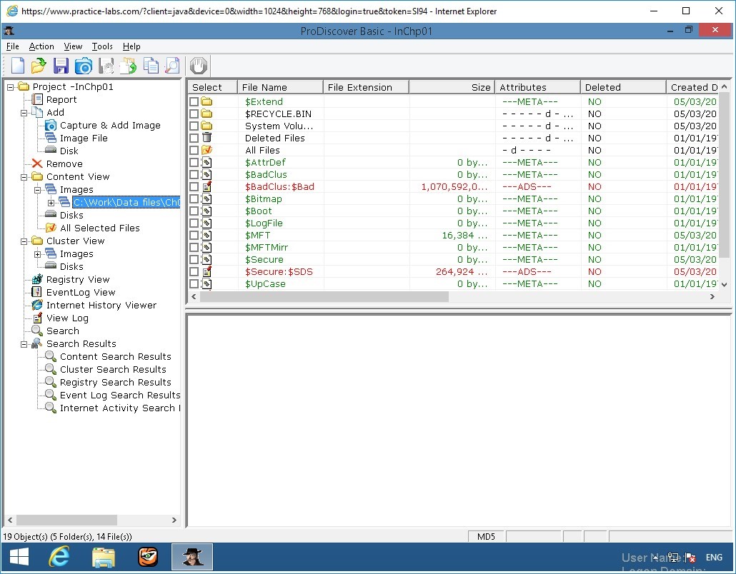 Figure 2.7 Screenshot of PLABWIN810