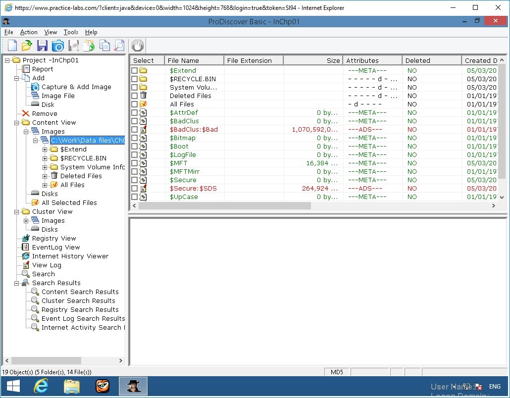Figure 2.8 Screenshot of PLABWIN810