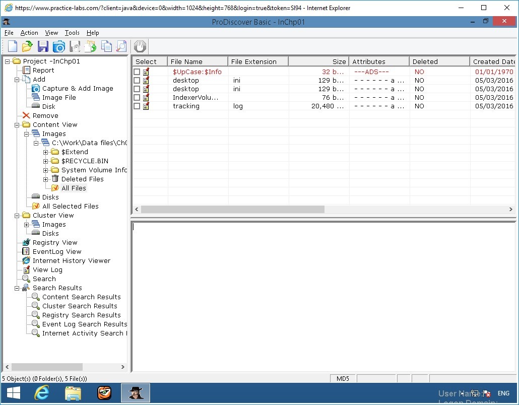 Figure 2.10 Screenshot of PLABWIN810