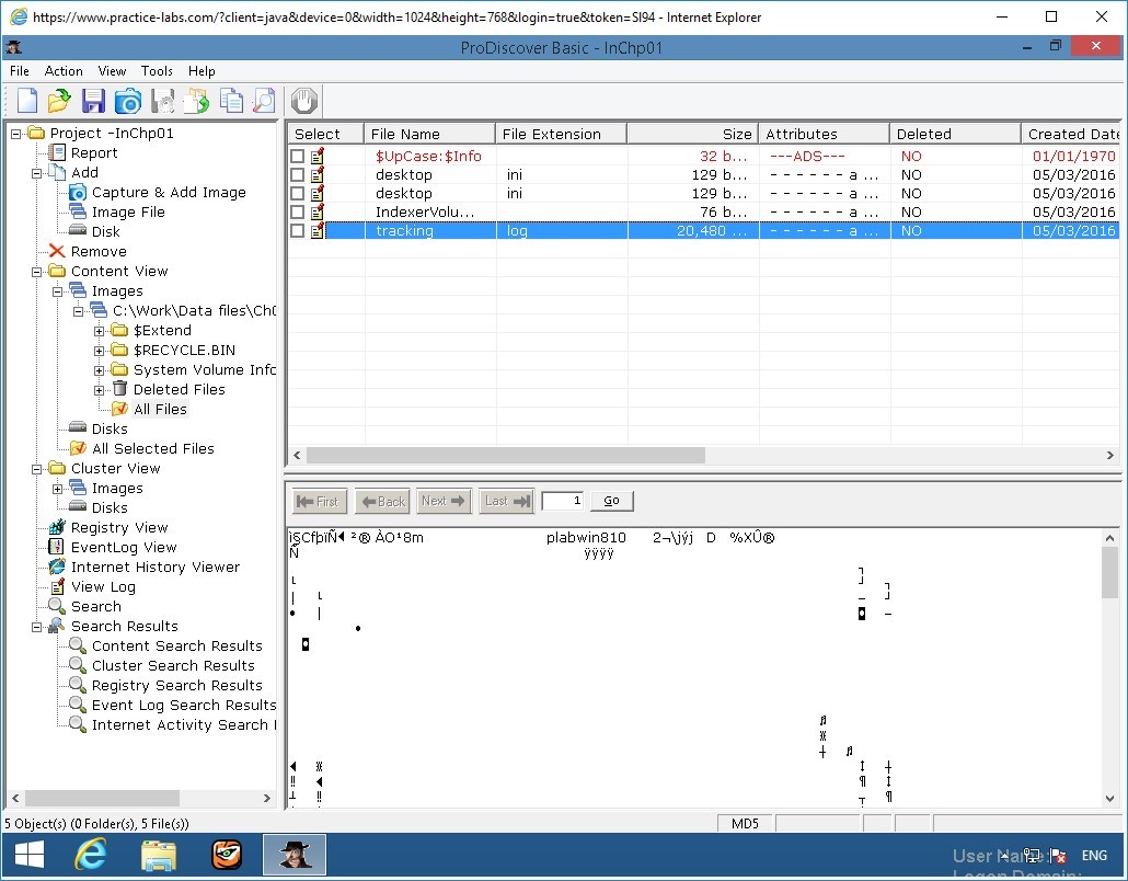 Figure 2.11 Screenshot of PLABWIN810