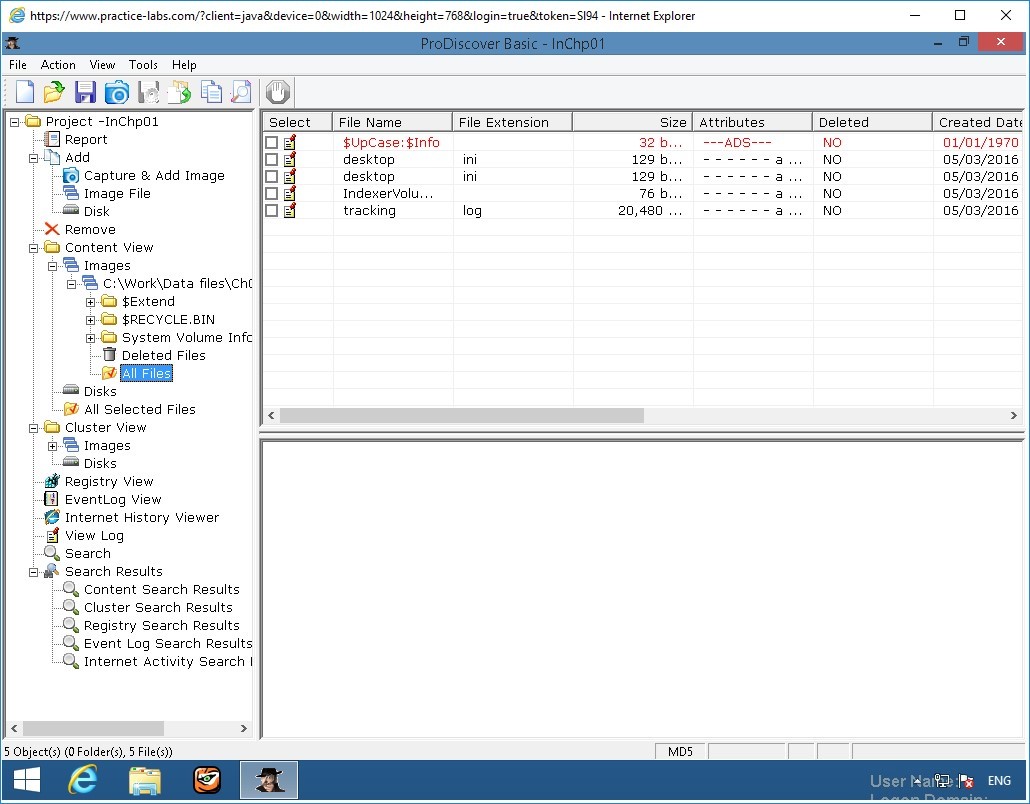 Figure 2.13 Screenshot of PLABWIN810
