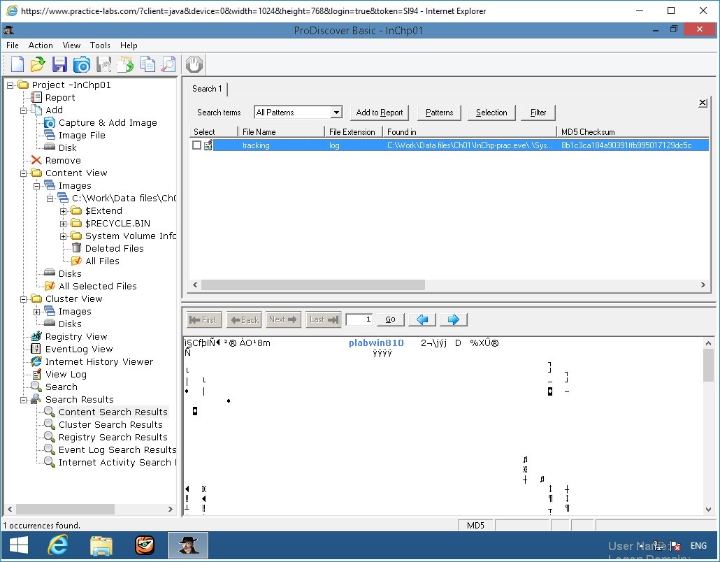 Figure 2.19 Screenshot of PLABWIN810