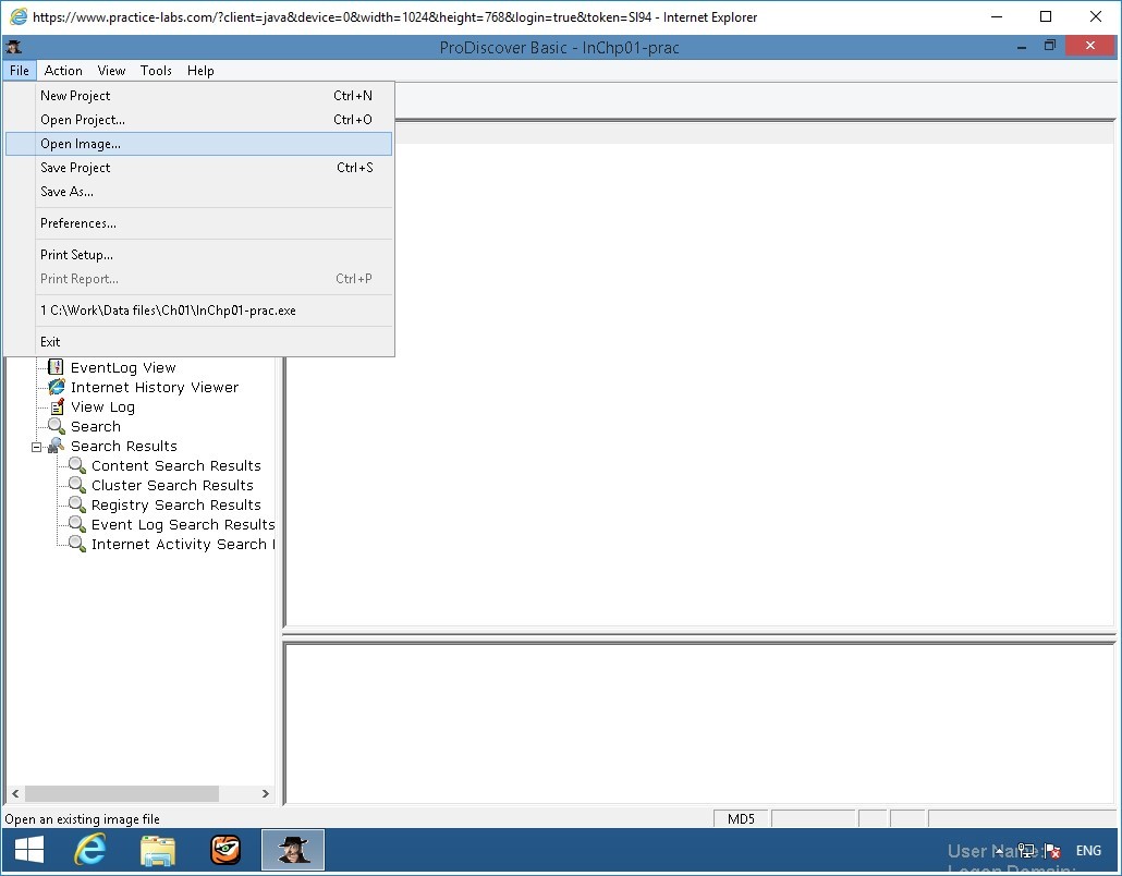 Figure 2.39 Screenshot of PLABWIN810