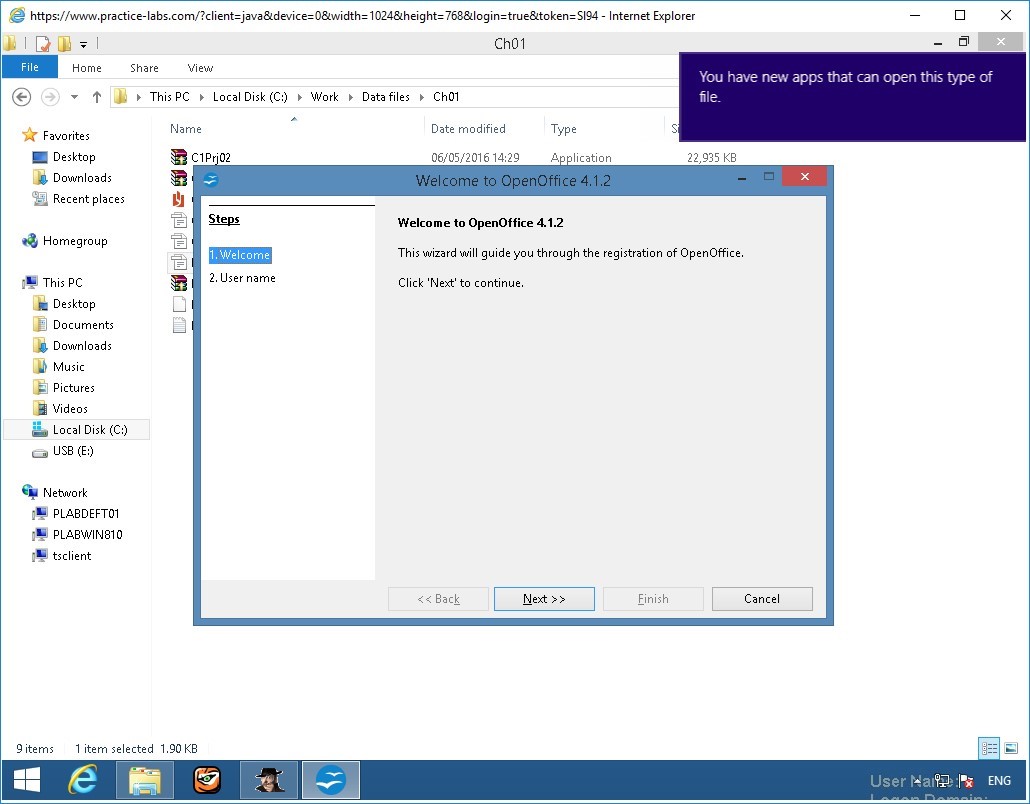 Figure 2.47 Screenshot of PLABWIN810