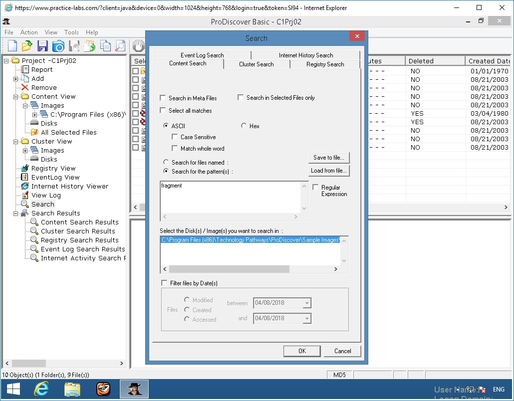 Figure 3.1 Screenshot of PLABWIN810