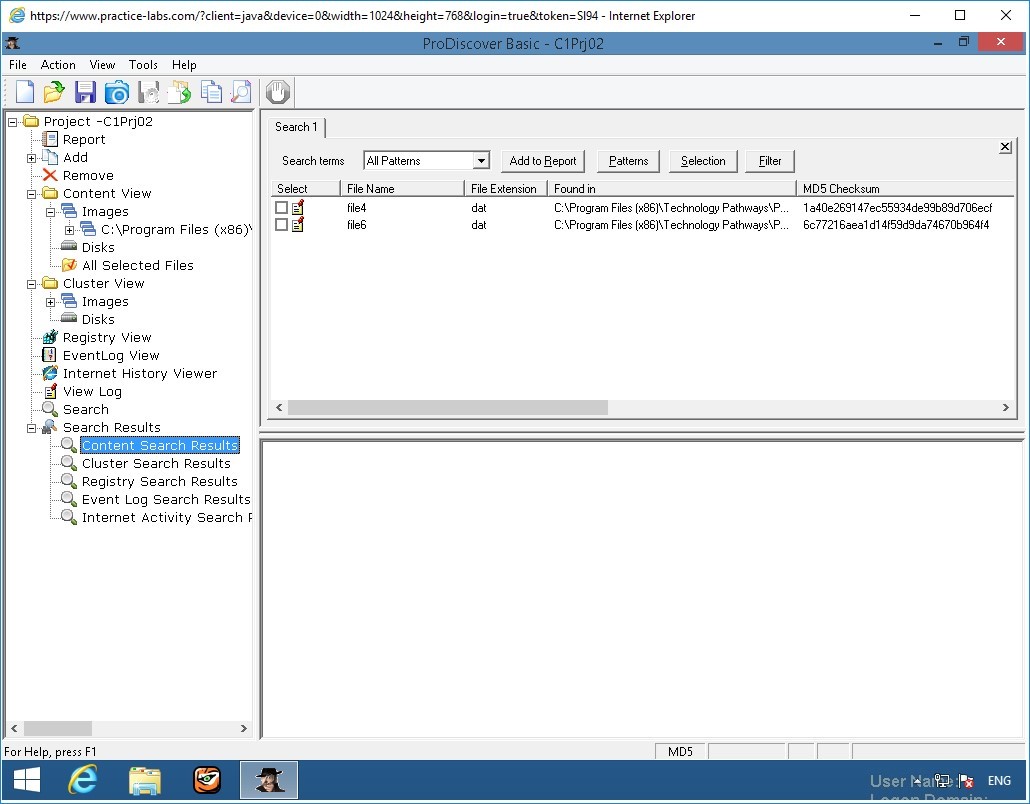 Figure 3.2 Screenshot of PLABWIN810