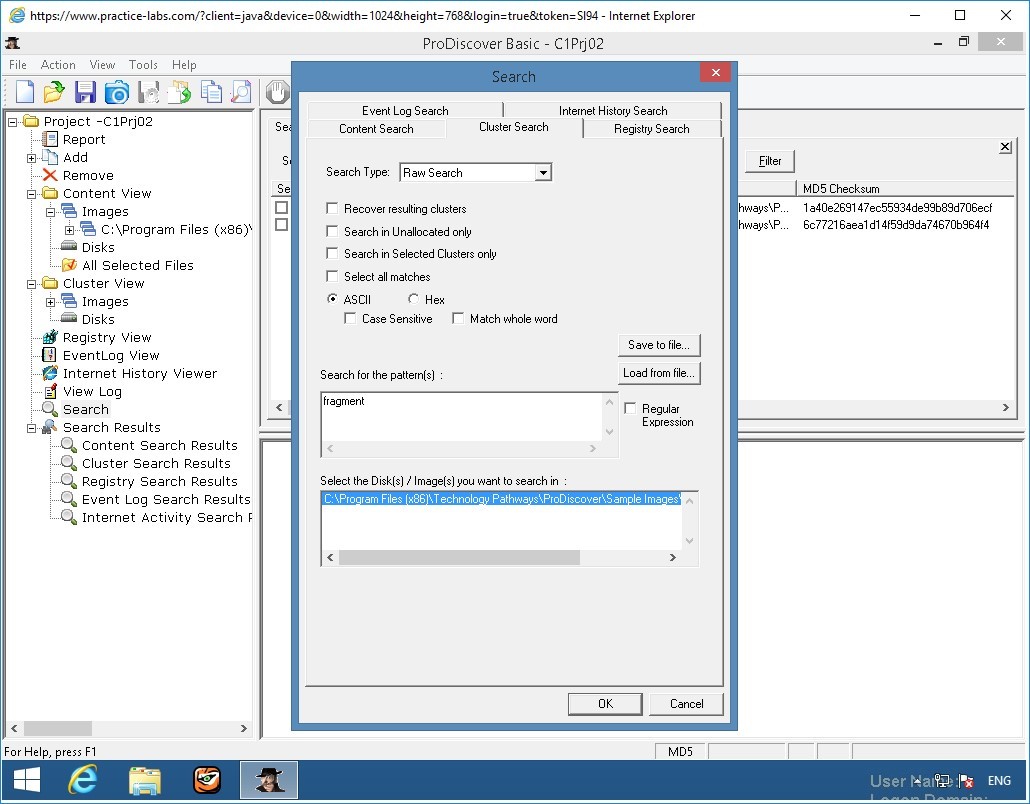 Figure 3.3 Screenshot of PLABWIN810