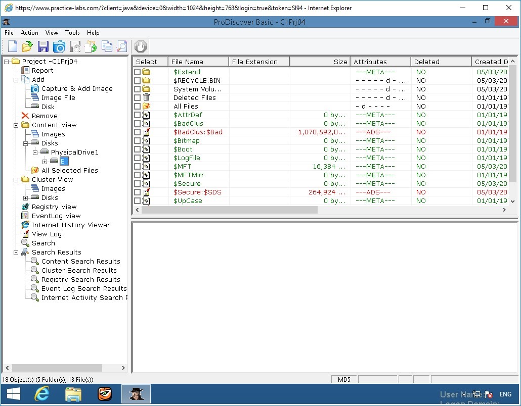 Figure 4.1 Screenshot of PLABWIN810