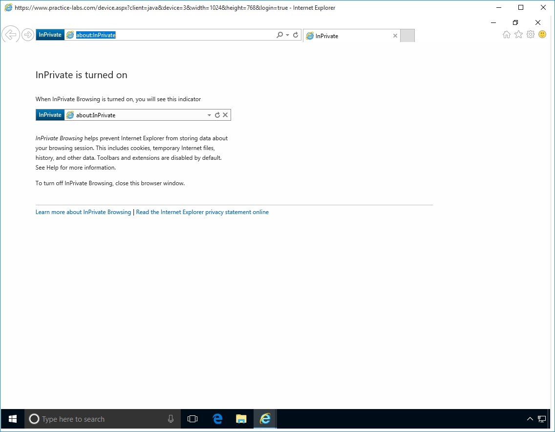 Figure 1.31 Screenshot of PLABWIN10